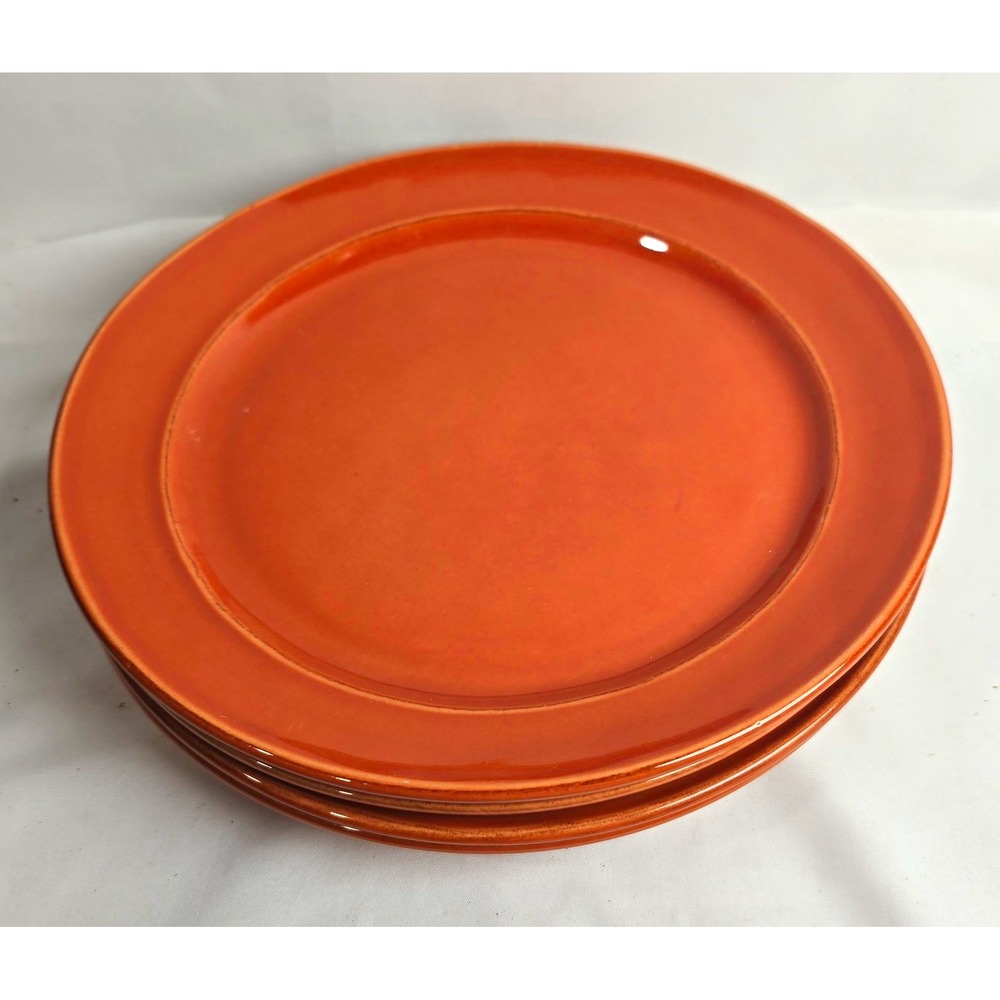 Pottery Barn Persimmon Salad Plates 9 1/2" Set of 4 Portugal Microwave Safe